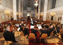 Mag. Salomon mit seinem Orchester gaben klassische Musik vom Feinsten
